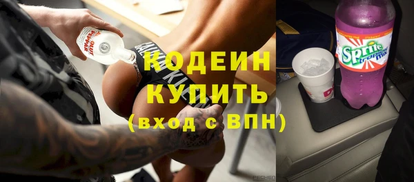 гидра Заводоуковск