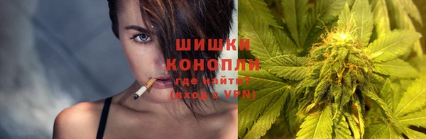 гидра Заводоуковск