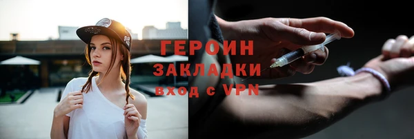 гидра Заводоуковск