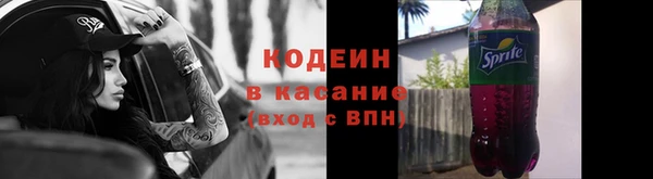 гидра Заводоуковск