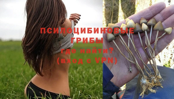 ГАЛЛЮЦИНОГЕННЫЕ ГРИБЫ Заволжье