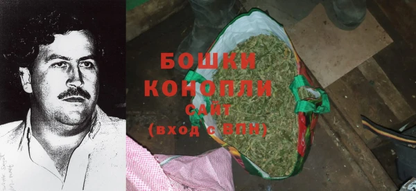 ГАЛЛЮЦИНОГЕННЫЕ ГРИБЫ Заволжье