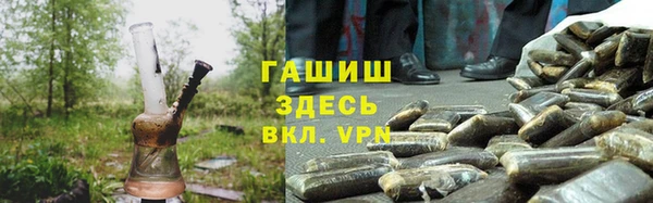 гидра Заводоуковск