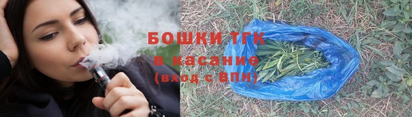 ГАЛЛЮЦИНОГЕННЫЕ ГРИБЫ Заволжье