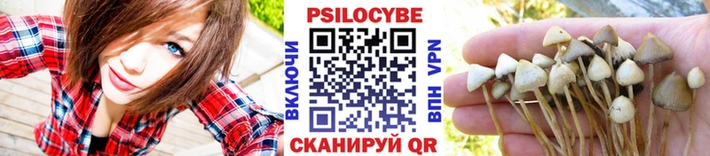 Псилоцибиновые грибы мицелий  Купить  Котельниково 